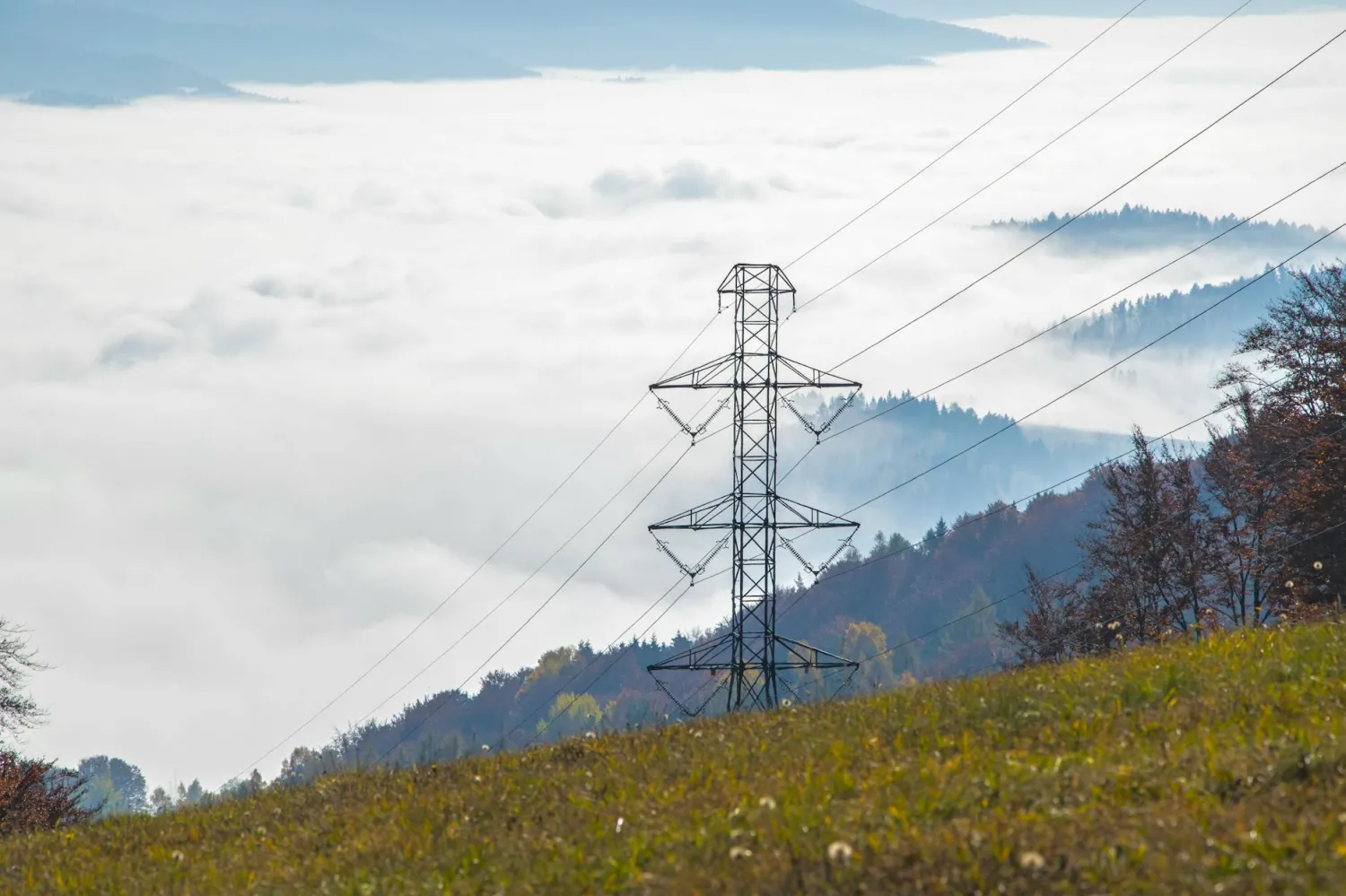 IEA: Global power demand is surging – and renewables are passing coal - COWIN industry news